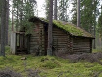 Old Cottage Sweden  