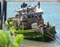 Old Gold Mining Boat - Oregon Coast locals confirmed story - album in comments 