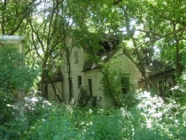 Old House in the Trees Location Unknown 