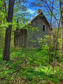 Old house in the woods