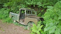 Old Land Rover in the woods Devon UK