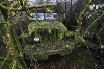 Old mossy truck 