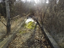 Old overgrown concrete track for rubber-tired train Toronto Canada 
