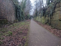 Old railway line in Liverpool known as the loopline AKA The Ralla  X