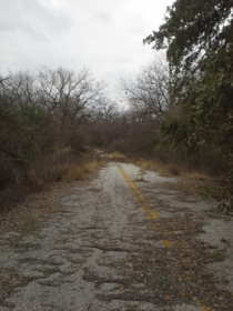 Old road south of San Antonio TX