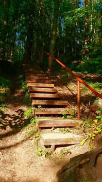 Old stairs in the woods