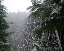 Old train trestle in  the snow and fog 