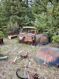 Old truck in the forest  mile house BC