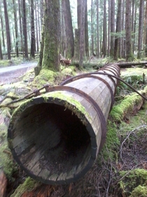 Old water main out of wood people use to have skills