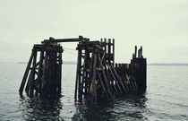 Old wooden dock on the coast of Port Townsend WA OC 