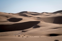 Oldest desert on earth - the Namib OC 