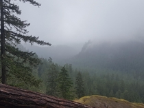 Olympic National Forest - WA 