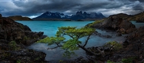 Ominous skies over Lake Peho Chilean Patagonia Photo by Bruce Hood 