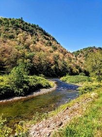 On the banks of Pine Creek in the Pennsylvania Wilds in early fall 