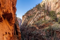 On the way to Angels Landing in Zion NP 