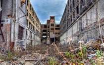 One of many sections of the Packard Plant