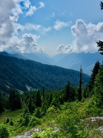 One of my favorite views from  days backpacking through Olympic National Forest 