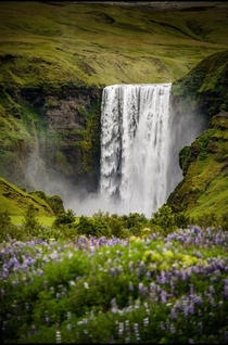 One of my favorite waterfalls - Skogafoss in Iceland  - more of my Iceland pics at insta glacionaut