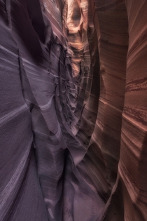 One of my favorites shots in the Zebra Canyon Utah 