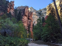 One of our favorite hikes - West Fork Trail AZ 