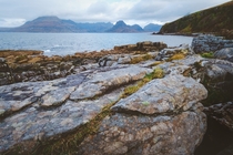 One of the best views of Skyes Black Cuillins from the Elgol coastline Elgol Isle of Skye Scotland UK 