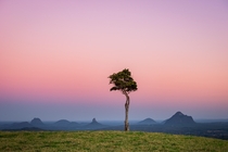 One Tree Hill Maleny Queensland Australia 