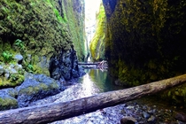 Oneonta Gorge OR 
