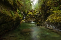 Opal Creek Oregon 