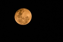 Orange Moon in Sydney Australia Due to refraction of the light caused by the recent bushfires in the Blue Mountains Region 
