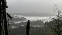 Oregon Coast Range 