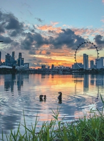 Ottercity at sunset from Gardens by the Bay Singapore Image - Saket Sarupria