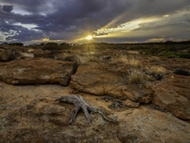 Outback Sunrise Rainy Rocks Western Australia 