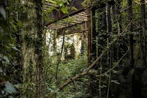 Overgrown abandoned factory room 