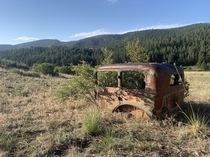 Overgrown car frame Colorado