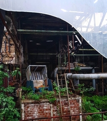 Overgrown factory in east Germany