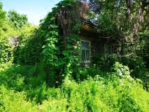 Overgrown house in Zalissya village inside Chernobyl exclusion zone