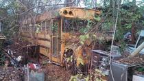 Overgrown school bus near Nacogdoches TX 