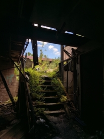 Overgrown Stairs of an Abandoned Boilerworks