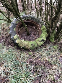 Overgrown tire