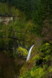 Overhead shot of elowah falls  Columbia River Gorge Oregon