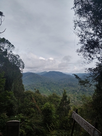 Overlooking the Malaysian rainforest from the highest point in the Taman Negara national park in Malaysia 