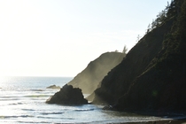 Pacific Northwest Coastal Beauty  x
