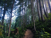 Pacific Northwest Trail Washington 