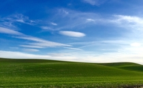 Palouse WA - looks straight from your Windows XP wallpaper  x