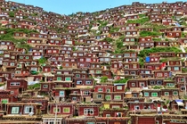 Palyul Tibet 