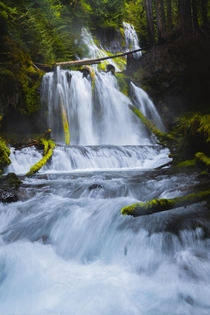 Panther Creek Falls Washington 