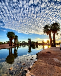 Papago Park Phoenix AZ Sunset OC x