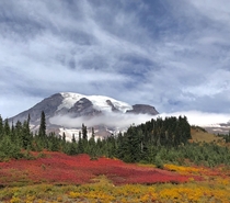 Paradise Mount Rainier in early fall last year 