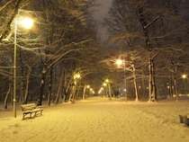 Park at night 