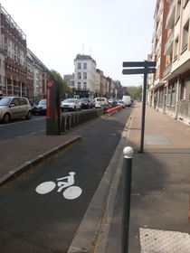 Parking-separated bicycle lane with a public bike rental station in Lille France 